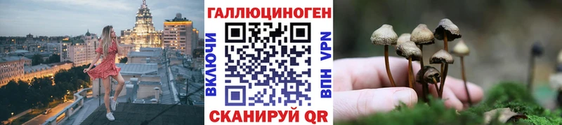 сколько стоит  Павловск  Псилоцибиновые грибы GOLDEN TEACHER 